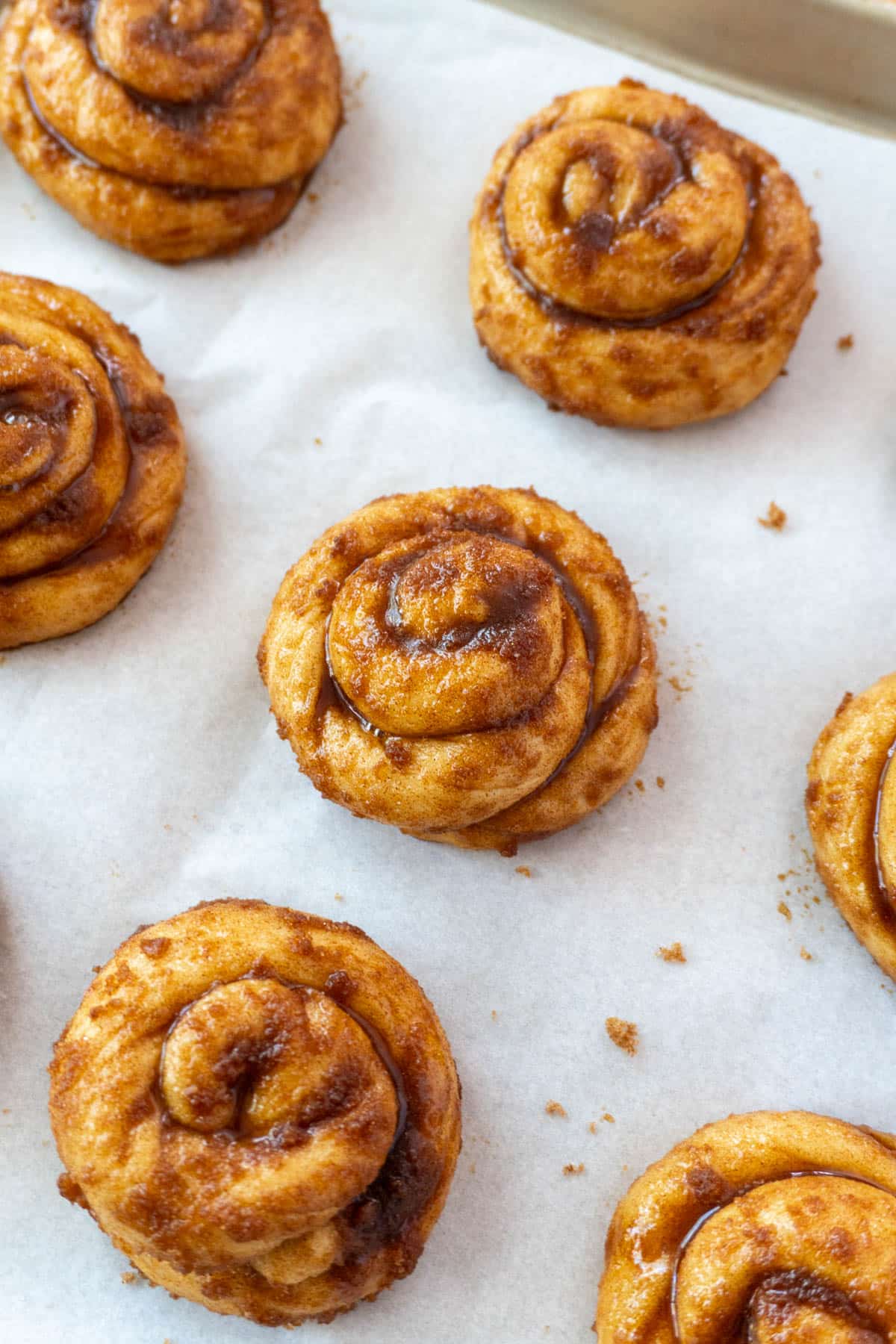 Rolled cinnamon rolls on a pan