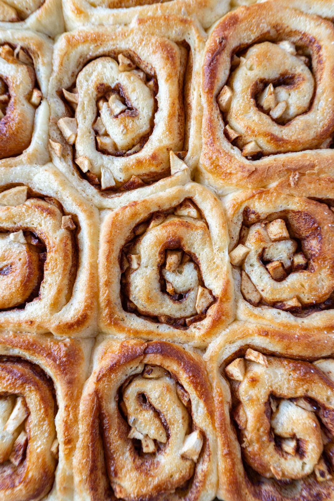 apple pie cinnamon rolls in a pan