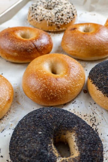 7 Bagels on a baking tray