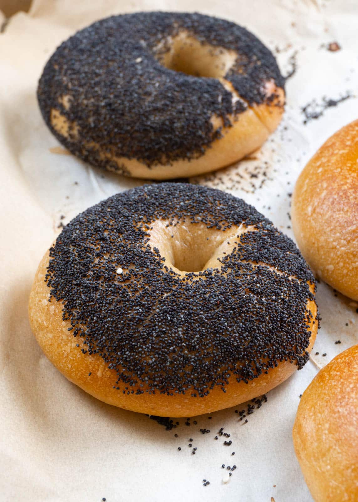 2 poppyseed bagels